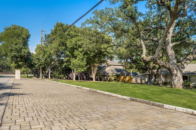 view of property's community featuring a lawn