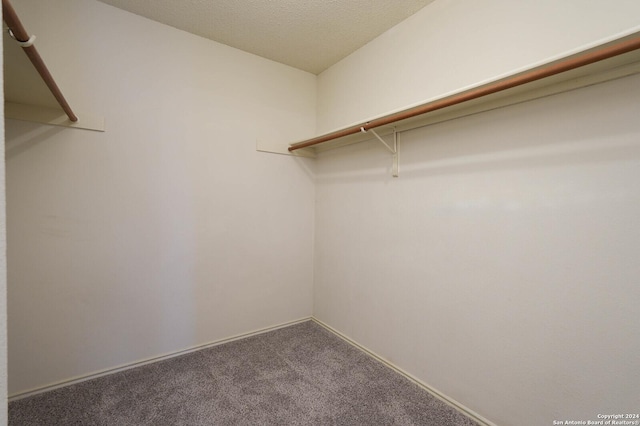 spacious closet with carpet floors