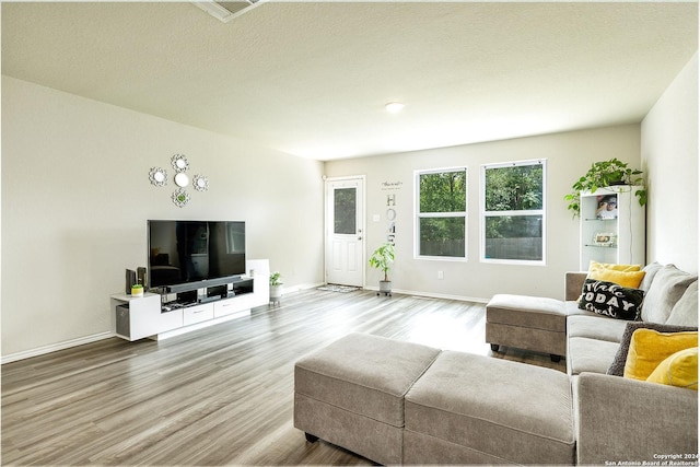 living room featuring hardwood / wood-style flooring