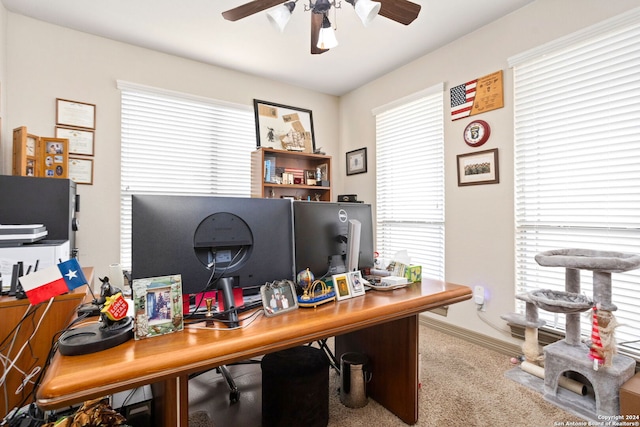 office space featuring carpet flooring, a wealth of natural light, and ceiling fan