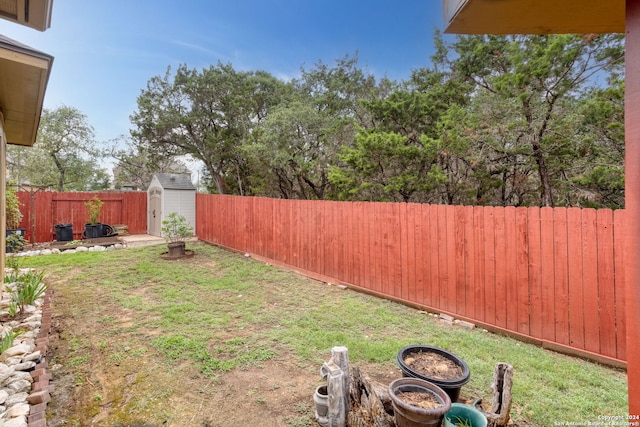 view of yard with a shed