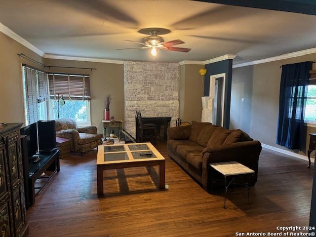 living room featuring ornamental molding, dark hardwood / wood-style floors, a wealth of natural light, and a fireplace