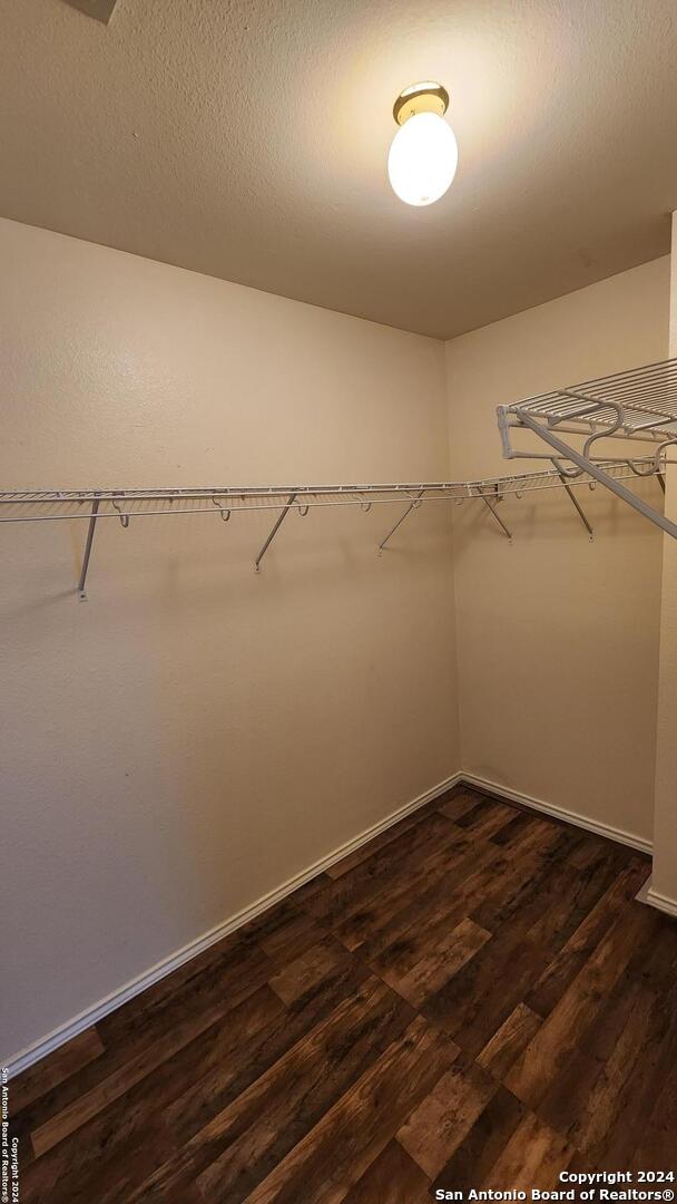 walk in closet featuring dark wood finished floors