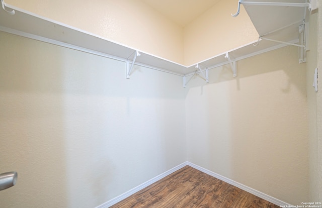 spacious closet with wood-type flooring