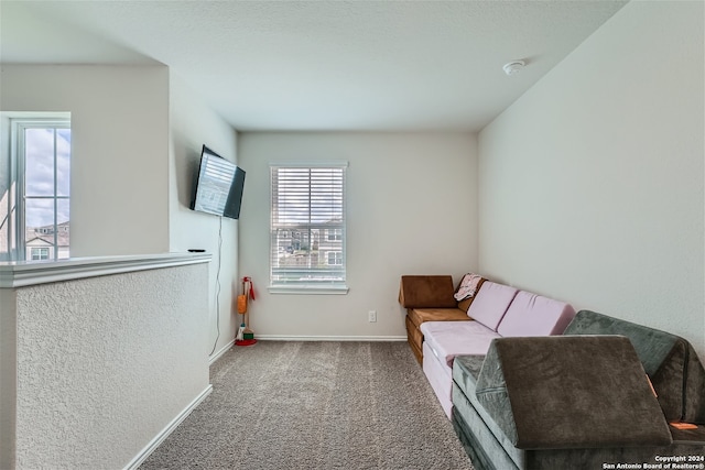 sitting room with carpet floors