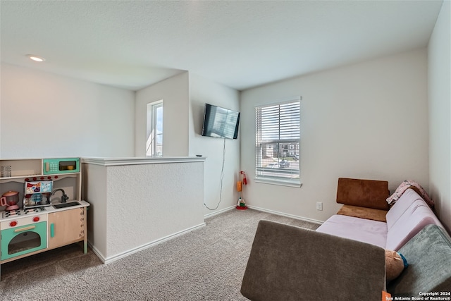 living area with carpet