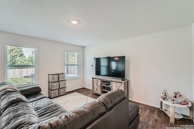 living room featuring hardwood / wood-style floors and a textured ceiling