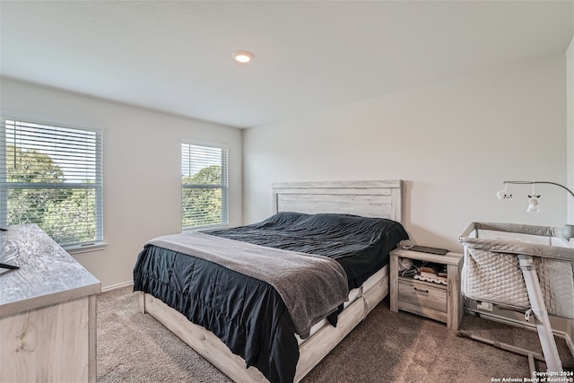 bedroom with carpet flooring