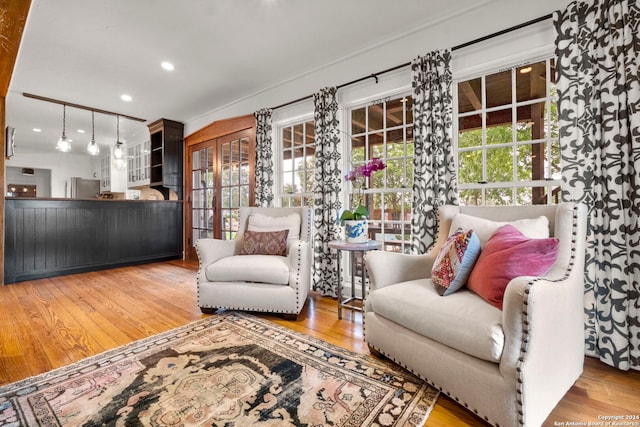 living room featuring wood-type flooring