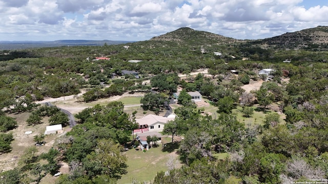 birds eye view of property with a mountain view