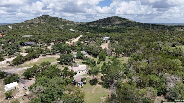 drone / aerial view featuring a mountain view