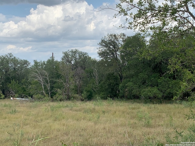 Listing photo 2 for 00 River Blf, Castroville TX 78009