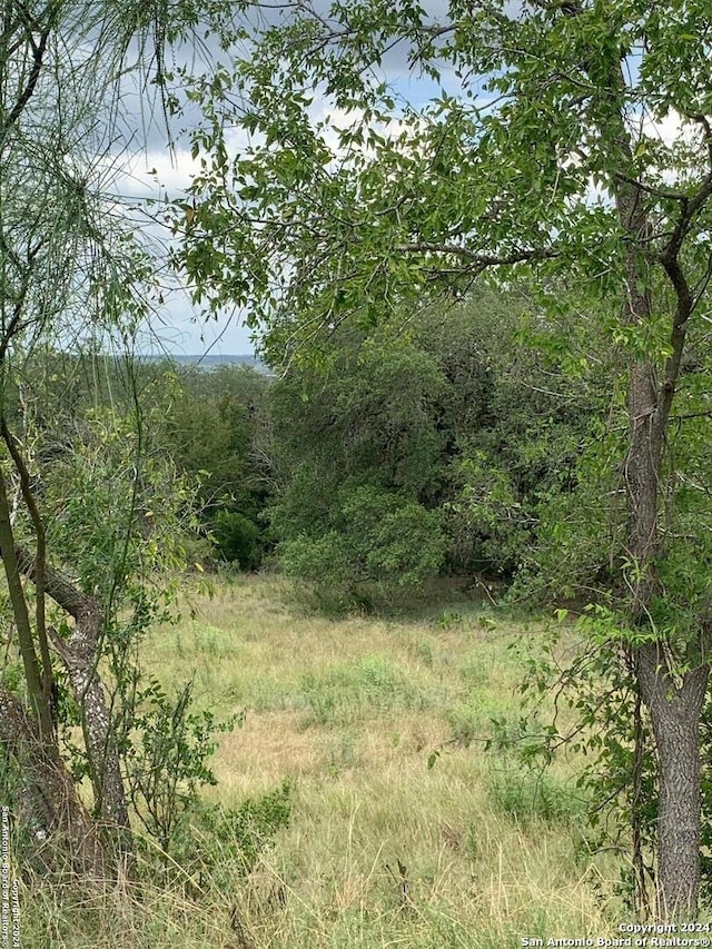 Listing photo 3 for 00 River Blf, Castroville TX 78009