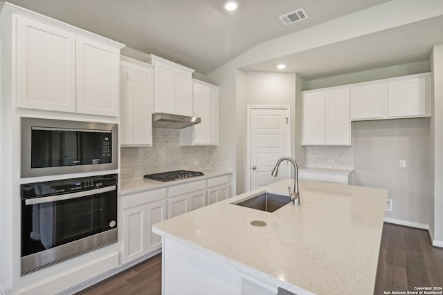 kitchen with lofted ceiling, sink, stainless steel appliances, and an island with sink