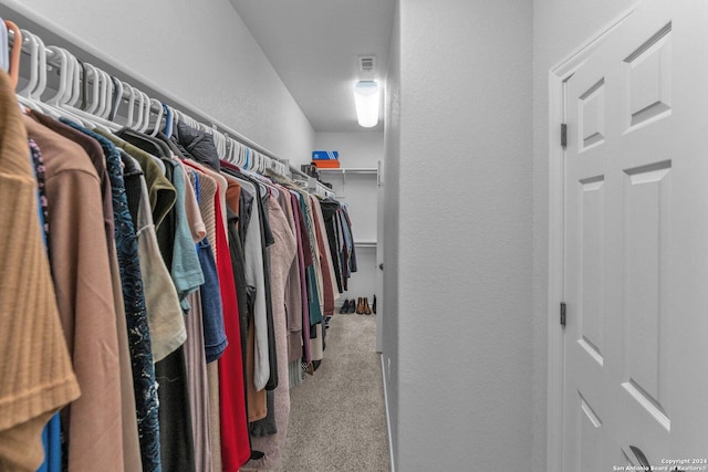 spacious closet with light carpet