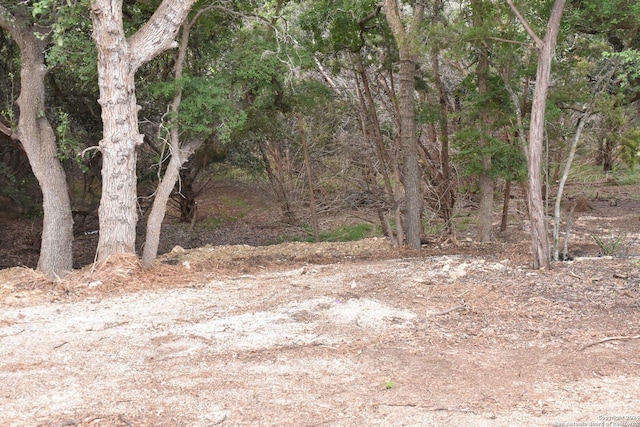 view of landscape