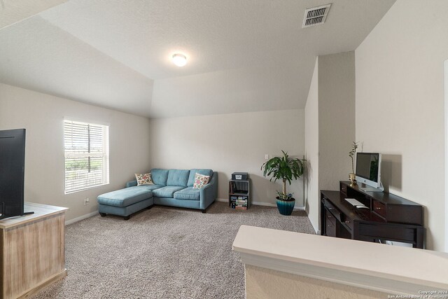 living room with a tray ceiling, vaulted ceiling, and carpet