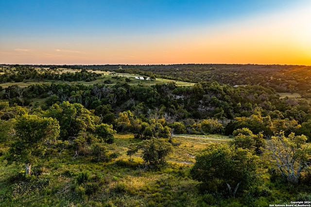 Listing photo 2 for 163 Canyons Dr, Fredericksburg TX 78624