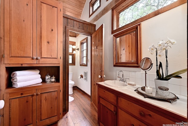 bathroom featuring vanity, toilet, and hardwood / wood-style floors