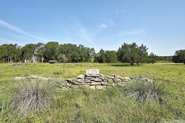 view of yard with a rural view