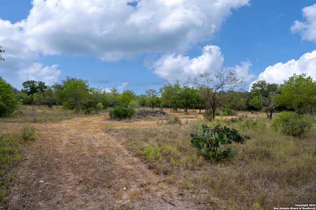 Listing photo 2 for 247 County Road 4802, Castroville TX 78009