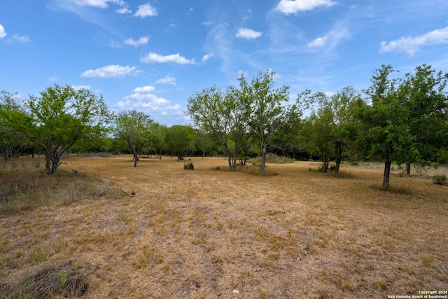 Listing photo 3 for 247 County Road 4802, Castroville TX 78009