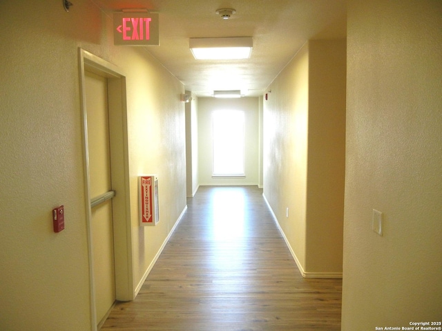 hallway featuring wood-type flooring