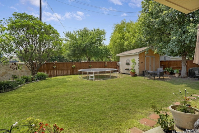 view of yard with a trampoline and a shed