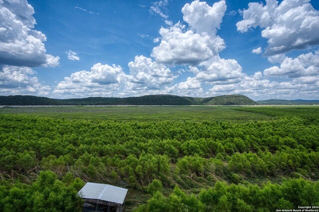 696 Faurie Rd, Lakehills, TX 78063 - view of mountain background featuring a forest