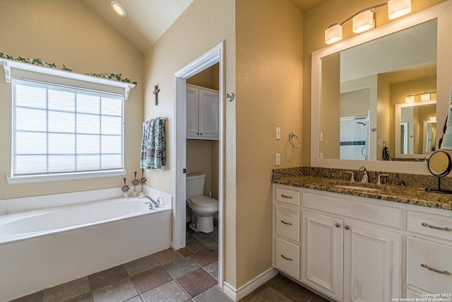 217 Meadowlark Ln, Mcqueeney, TX 78123 - bathroom featuring a tub, lofted ceiling, vanity, and toilet