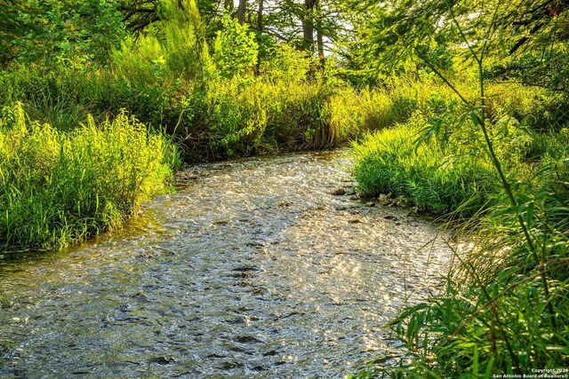 view of local wilderness featuring a water view