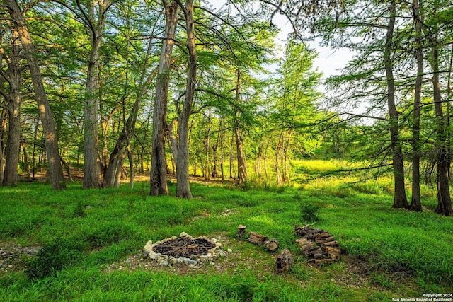 view of yard with an outdoor fire pit