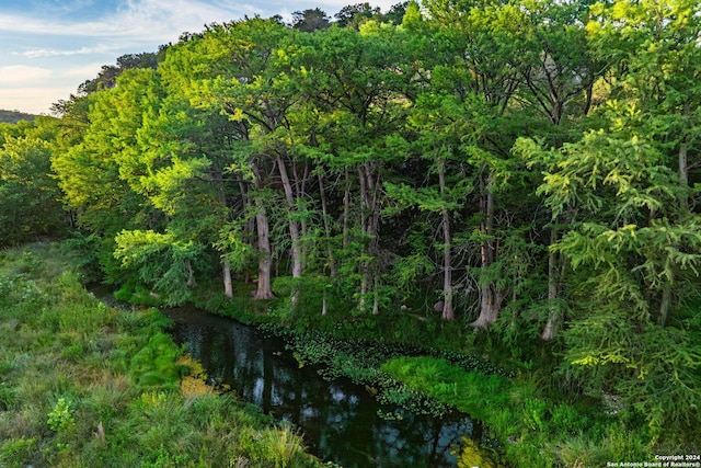 view of landscape with a water view