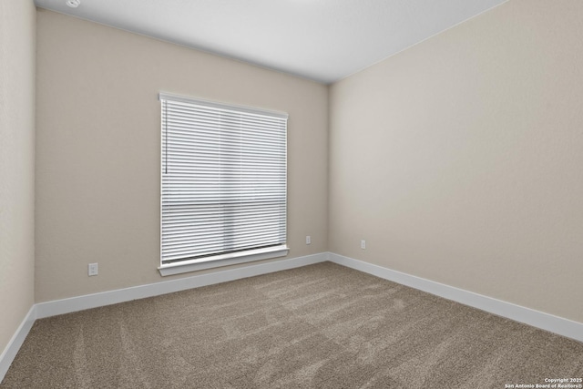 spare room with plenty of natural light, baseboards, and carpet floors