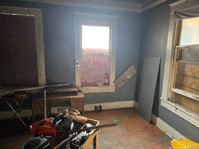 misc room featuring ornamental molding and wood-type flooring