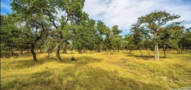 LOT3 Scott Branch, Harper TX, 78631 land for sale