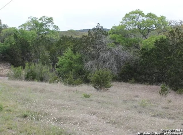 Listing photo 3 for 625 County Road 2763, Mico TX 78056