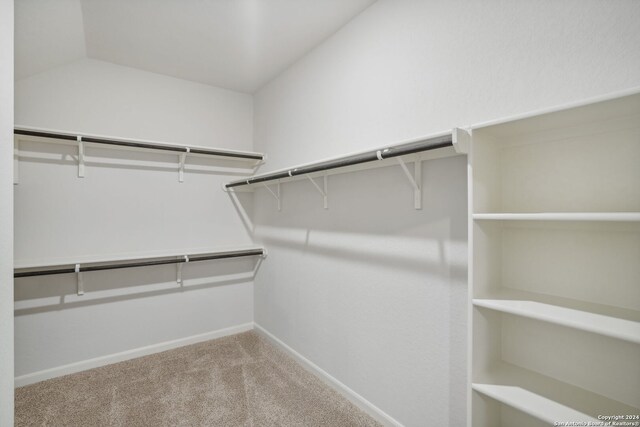 spacious closet with carpet