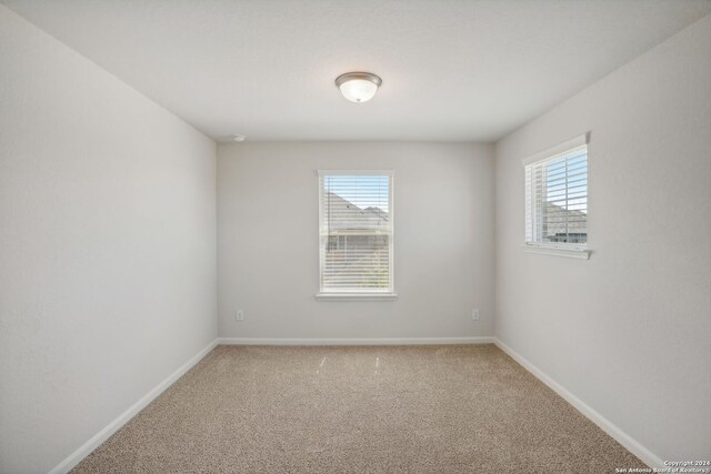 empty room featuring a wealth of natural light and carpet floors