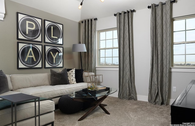 4805 Whaler, San Antonio, TX 78245 - living room featuring lofted ceiling, carpet flooring, and a wealth of natural light