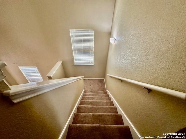 staircase featuring carpet flooring