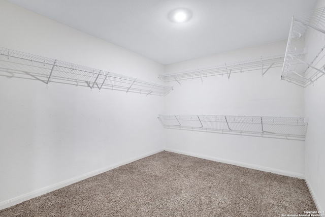 spacious closet with carpet flooring