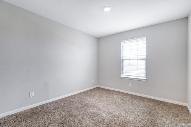 unfurnished room with carpet flooring