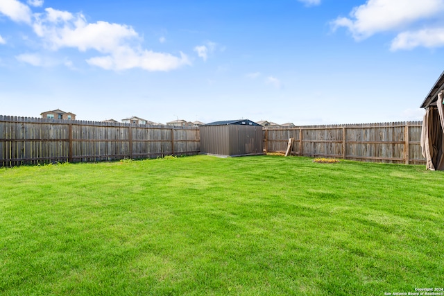 view of yard with a shed