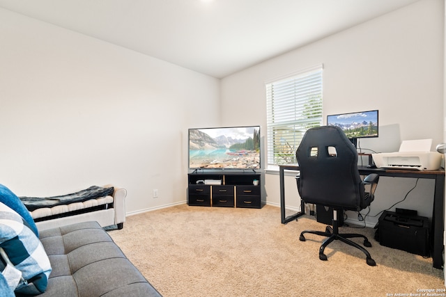 office with light colored carpet