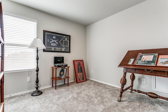 miscellaneous room with plenty of natural light and light colored carpet