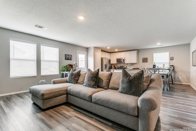 living room featuring a healthy amount of sunlight, wood-type flooring, sink, and a textured ceiling