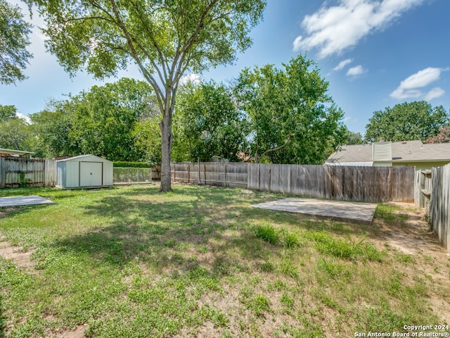 view of yard featuring a patio and a storage unit