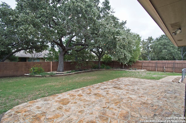 view of yard with a patio