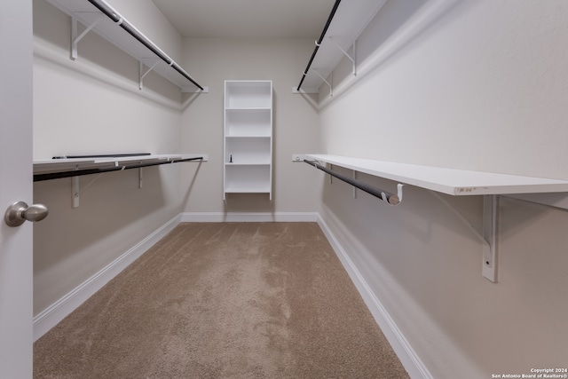 walk in closet with carpet flooring